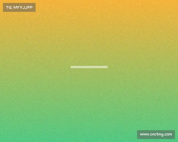 枪手目标中卫雅凯深度分析：新萨利巴还是迷你科纳特？